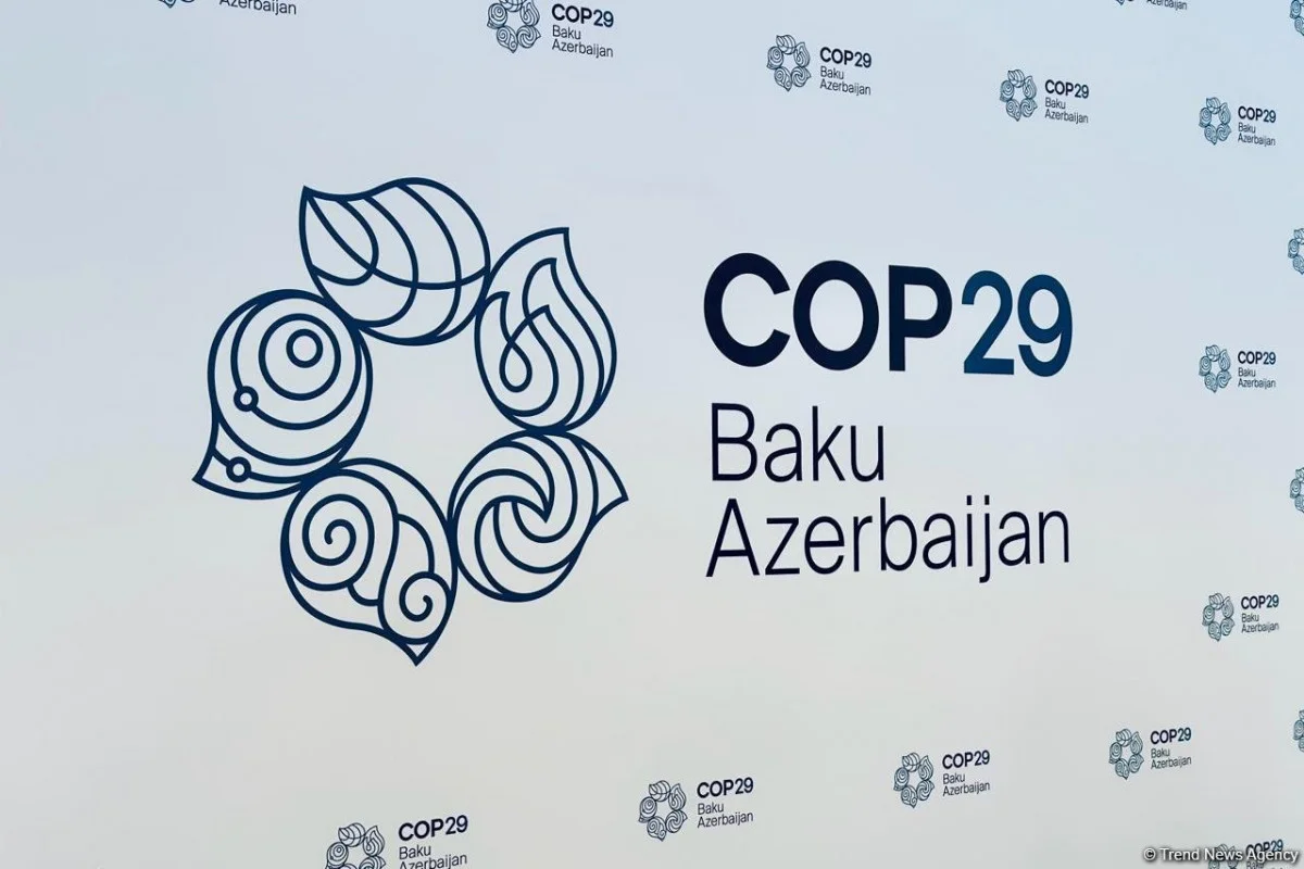 COP29 Könüllülük Proqramının hazırlıq mərhələsi başa çatdı