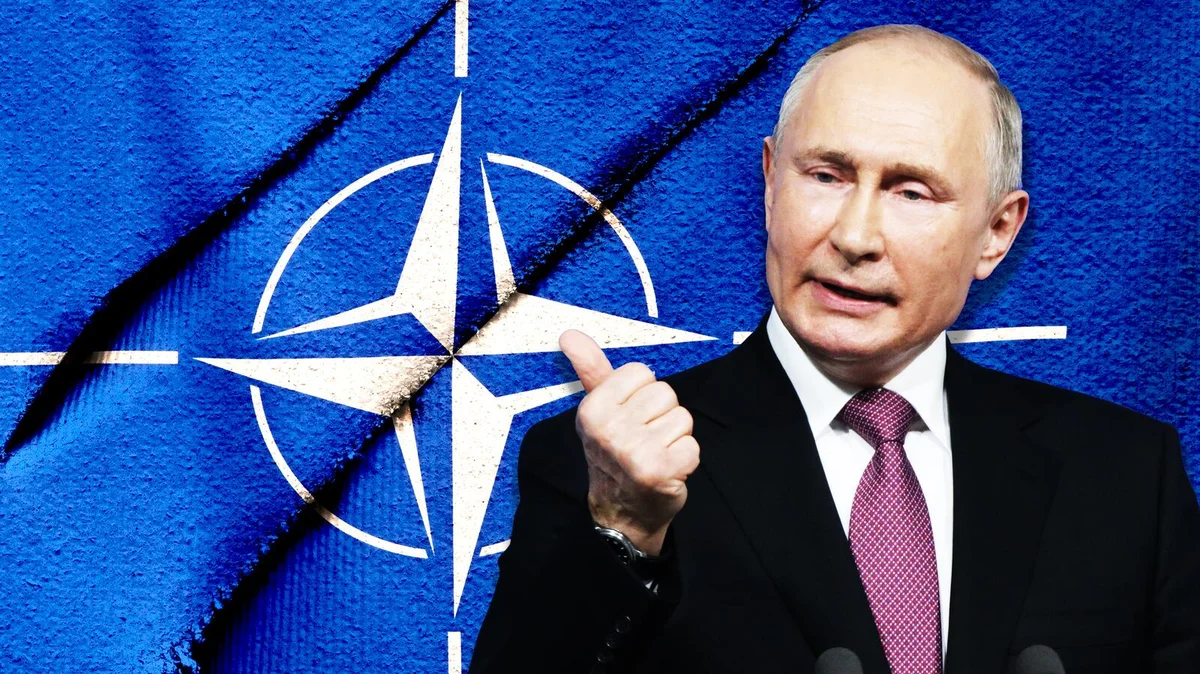 Putin NATO haqqında görün nələr dedi