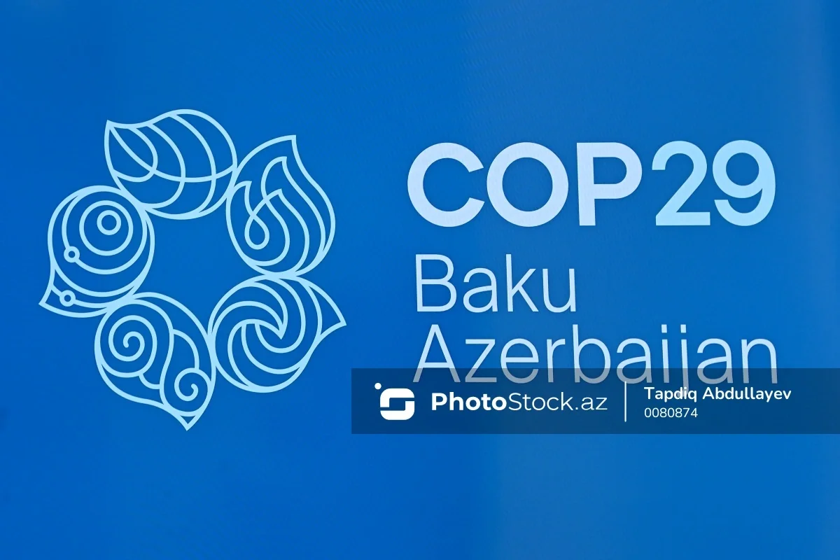 Baş icraçı direktor COP29a hazırlıqlarla bağlı son vəziyyəti açıqlayıb