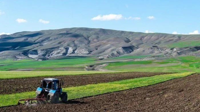 Qarabağdakı bu torpaqlar icarəyə VERİLƏCƏK