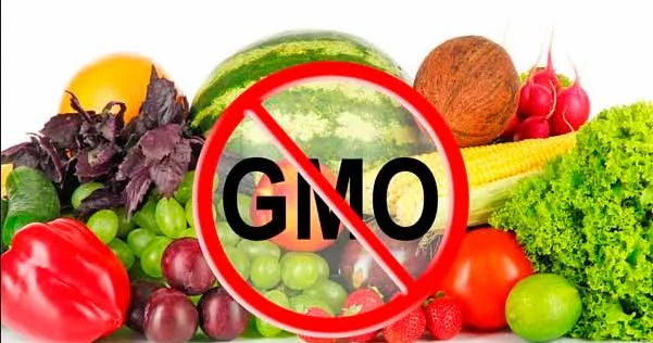GMO tərkibli meyvə tərəvəzlər bazarlara necə ayaq açıb? QİDA EKSPERTİ AÇIQLADI