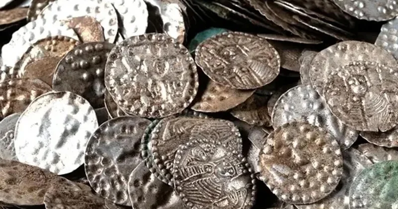 Супруги из Англии нашли клад в своем саду и продали монеты за $500 тысяч