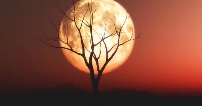 Kanadalı alimdən şok iddia Yadplanetlilər Ayda gizlənərək Yeri izləyirlər