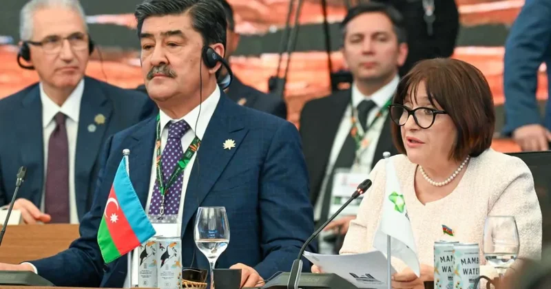 Гафарова: Азербайджан играет ведущую роль в установлении новых стандартов определения зон развития чистой энергии ФОТО