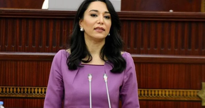 Ombudsman Milli Məclisdə vacib təkliflərlə çıxış etdi