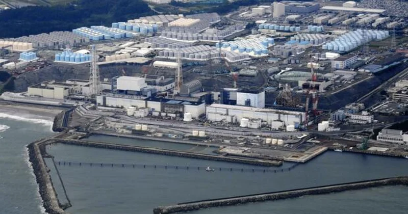 Yaponiya Çinə dəniz məhsulları ixracını bərpa edir