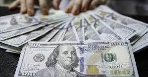 Ukraynanın valyuta ehtiyatları artıb Müstəqillik dövrü üçün rekord həddə çatıb