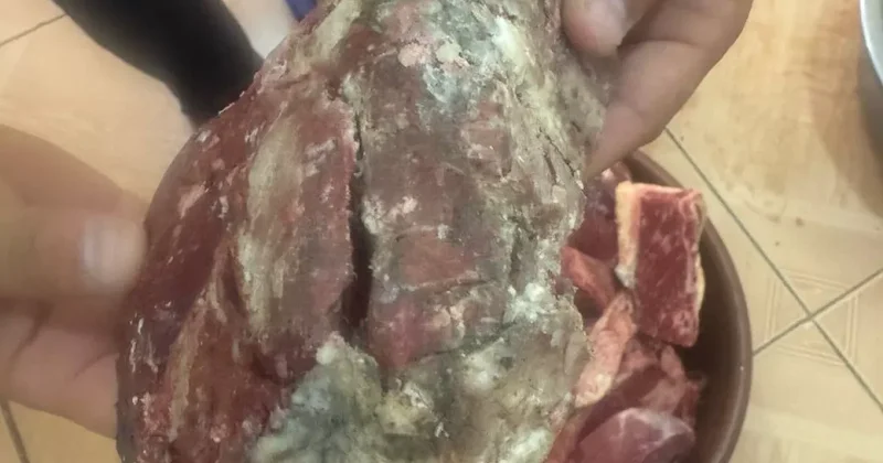 Надо будет и похуже дадите : в детсады Самарканда поставляли испорченное мясо Видео