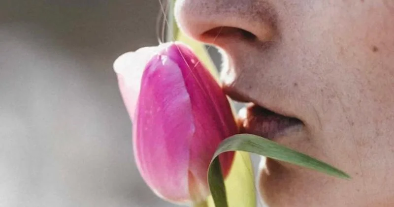 Qoxu hissinin pozulması sistemli qocalmanın erkən əlaməti ola bilər