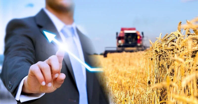 С опорой на землю