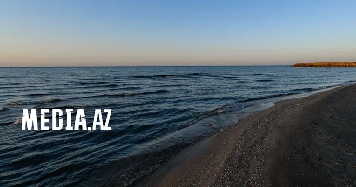 Редкие и ценные виды рыб найдены в районе нефтяного месторождения в Каспийском море