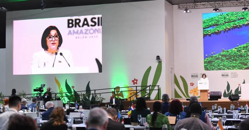 Milli Məclisin sədri COP30 un Liderlər Sammitində çıxış edib