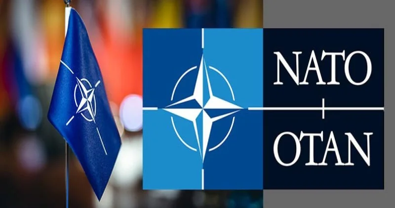 NATO Baş katibinin köməkçisi: Azərbaycanla tərəfdaşlıq və dialoq müsbət inkişaf edir