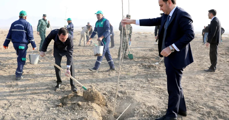 Naxçıvan Çalxanqala avtomobil yolunun kənarındakı 3 hektarlıq ərazidə yeni tut bağı salınıb