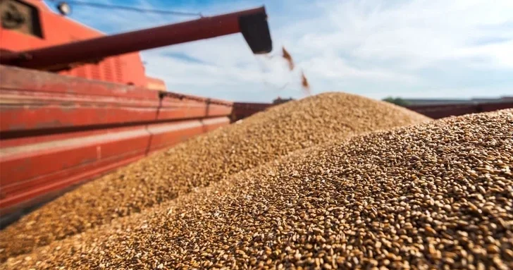 Армения впервые получила казахстанскую пшеницу по маршруту, проходящему через Азербайджан
