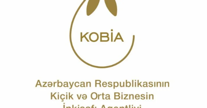 Azərbaycan sahibkarlarının təqribən 23 faizini qadınlar təşkil edir