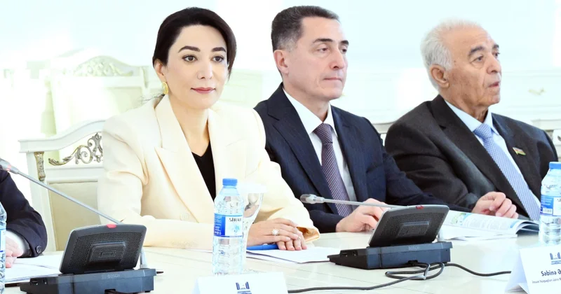 Ombudsman: İnsan hüquqlarının qorunması sahəsində qanunvericiliyin təkmilləşdirilməsi olduqca zəruridir