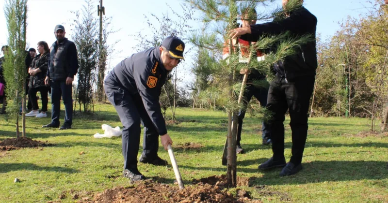 Balakəndə ağacəkmə aksiyasında 1300 dən çox ting əkilib