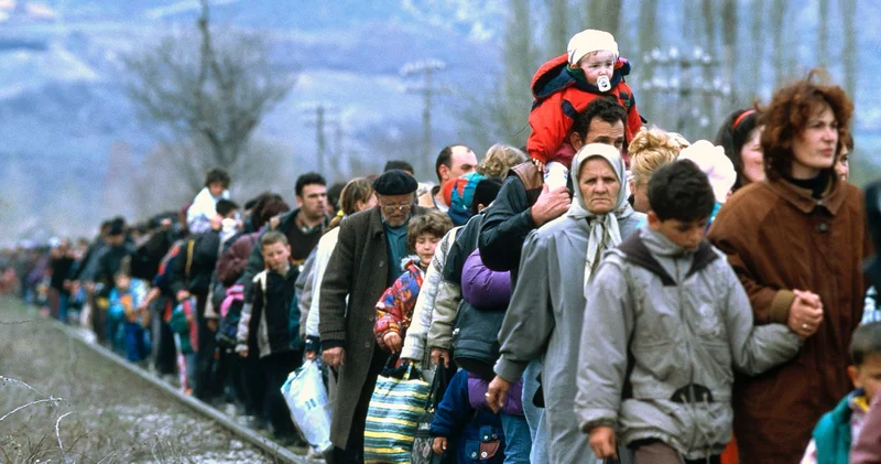 Miqrasiya nədir? Ümumi baxış