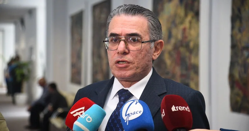 Медиа играет важную роль в сохранении азербайджанского языка Натиг Мамедли