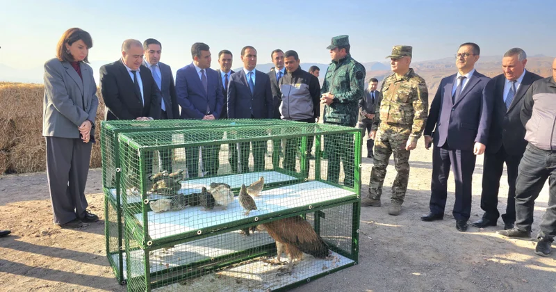 Culfa rayonu ərazisində nadir heyvan növləri təbiətə buraxılıb
