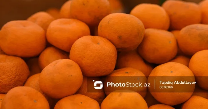 Сезон разочарований: как погода и рынок ударили по производителям мандаринов в Астаре