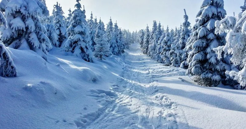 Qışda dünyanın ən yumşaq qarını haradan tapmaq olar?