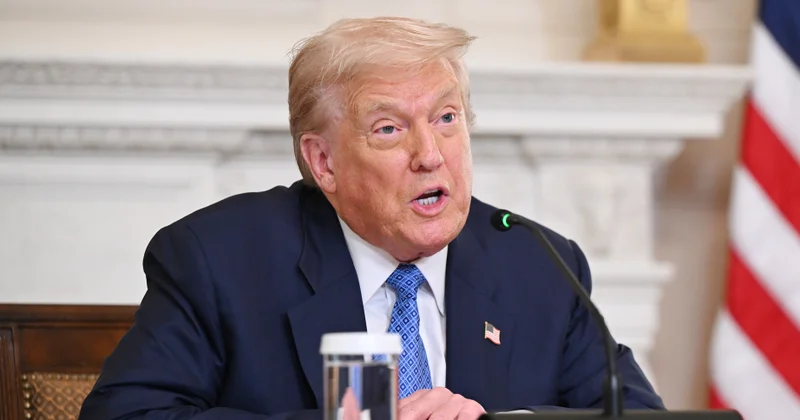 Tramp Zəngəzur dəhlizindən danışdı