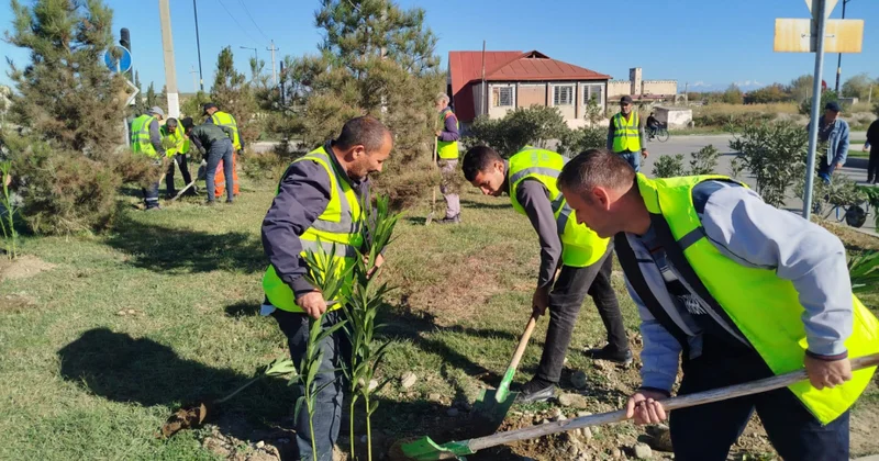 Zəfər günü münasibətilə Yevlaxda 4 mindən çox ağac və dekorativ gül kolları əkilib