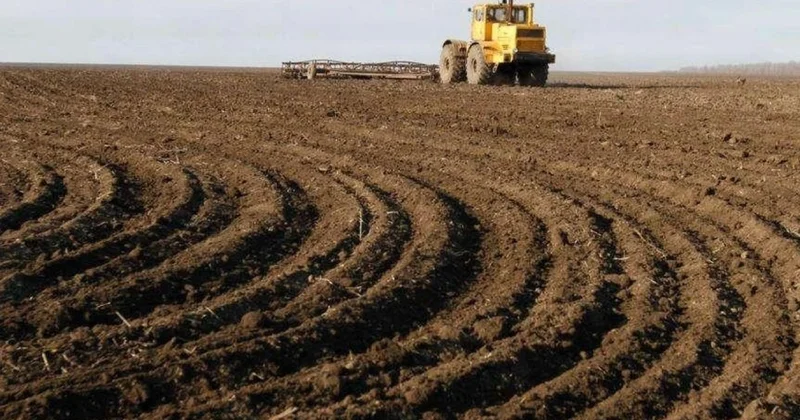 Azərbaycanda növbəti torpaq hərracları elan edildi