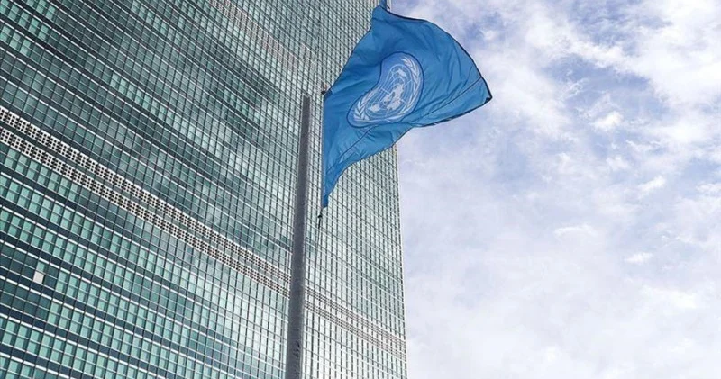 BMT: Dünya meşələri ciddi təhlükə altındadır