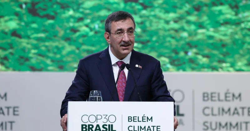 Türkiyənin vitse prezidenti Braziliyada COP29 un nəticələrinin əhəmiyyəti barədə danışıb