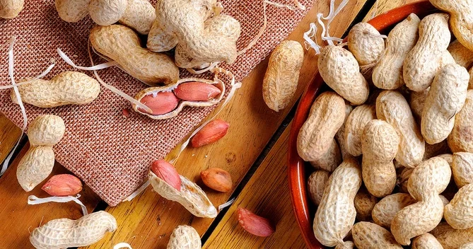 Beynin bir nömrəli dərmanı bu qida imiş Alimlərdən yeni kəşf