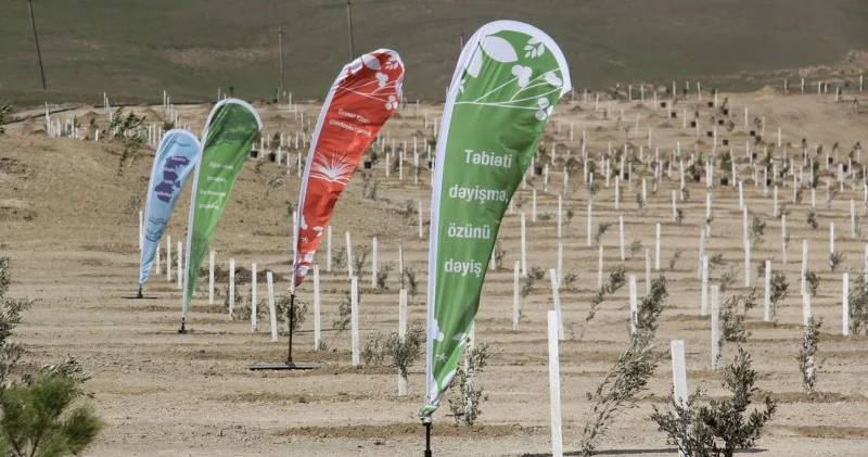 Zəfərin 5 ci ildönümü münasibətilə ölkədə 174 minə yaxın ağac və kol əkilib