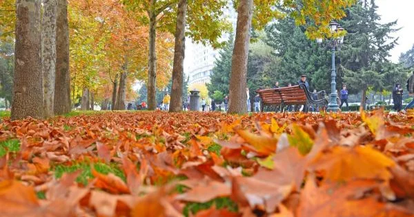 Yağmursuz bir payız günü...