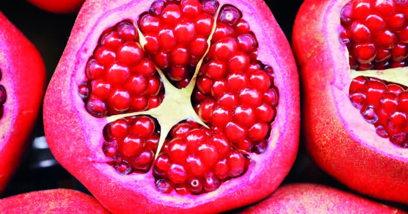 Nar Günəş ziyası, su saflığı