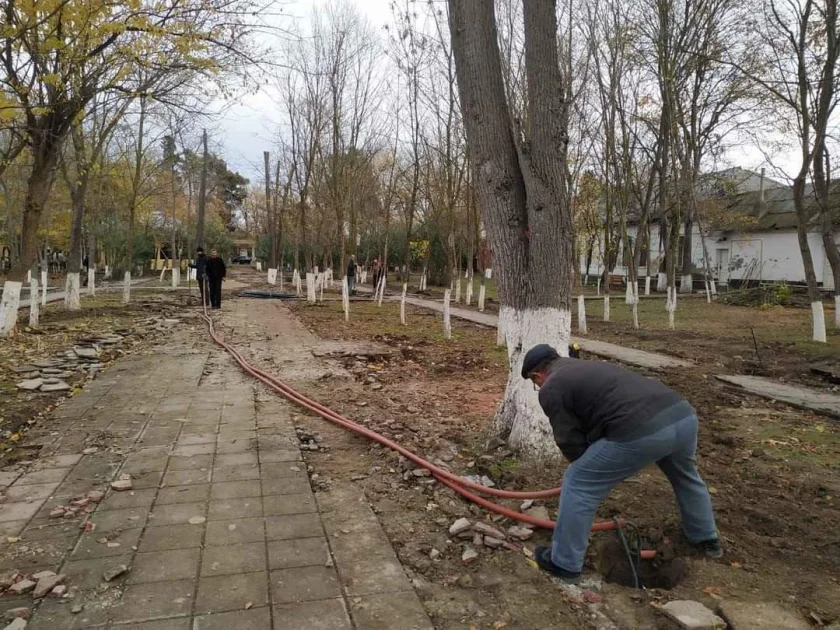 Şirvanda 144 yaşlı park abadlaşdırılır