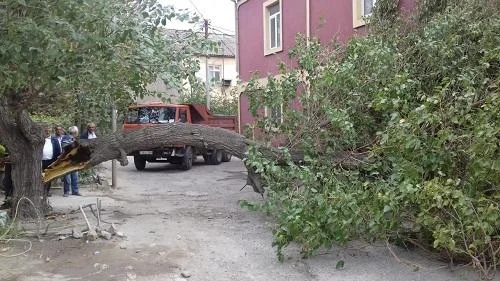 DYPdən küləkli hava ilə bağlı müraciət