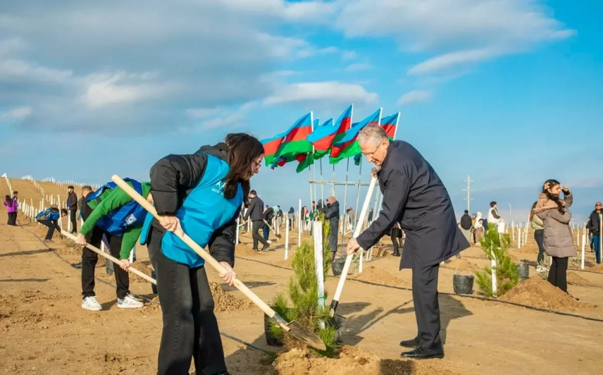 В Мушфигабаде посажены тысячи деревьев ФОТО