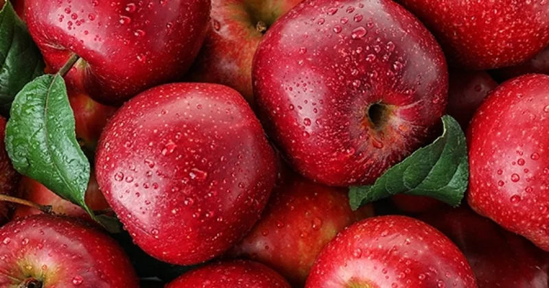 Azərbaycanın alma ixracı 14 ilin rekordunu qırdı: Yeni bazarlar, artan tələbat və fermerlər üçün dəstək