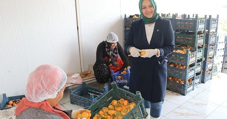 İşçidən sahibkarlığa: Xurmanın gücü ilə Kanada bazarına çıxdı FOTO