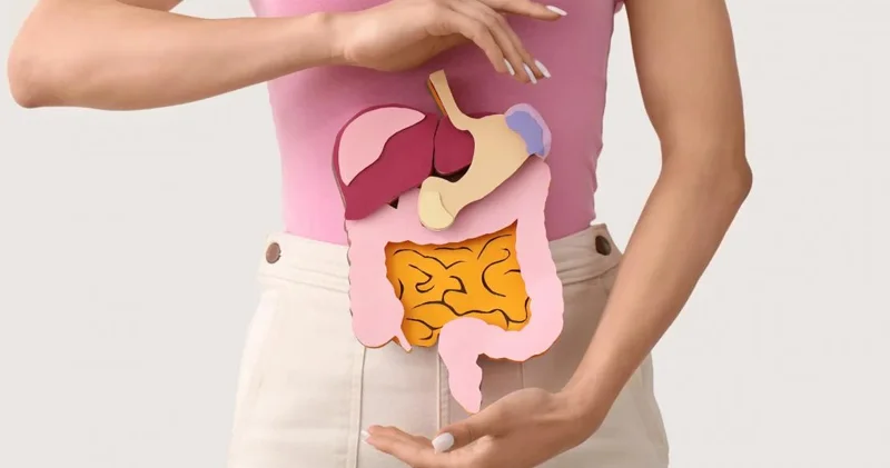 Hansı konserv məhsulları bağırsaq sağlamlığı üçün faydalıdır? 6 məsləhət