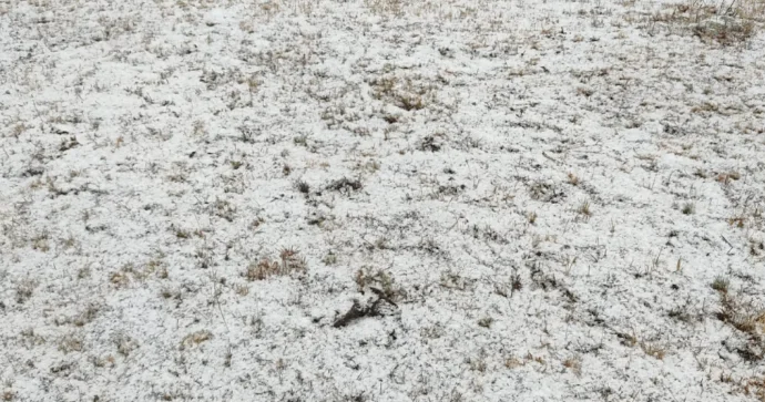 Batabata və Parağaçaya qar yağıb FOTOLAR