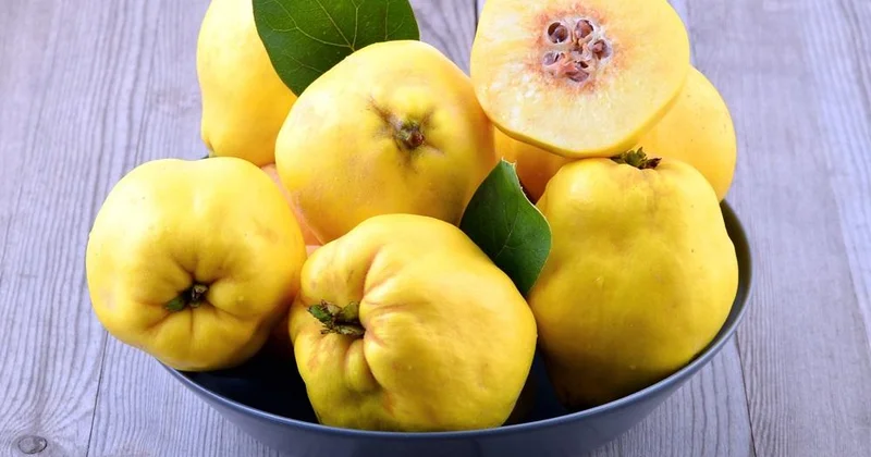 Heyva: Payızın vitaminli meyvəsi və sağlamlıq üçün faydaları