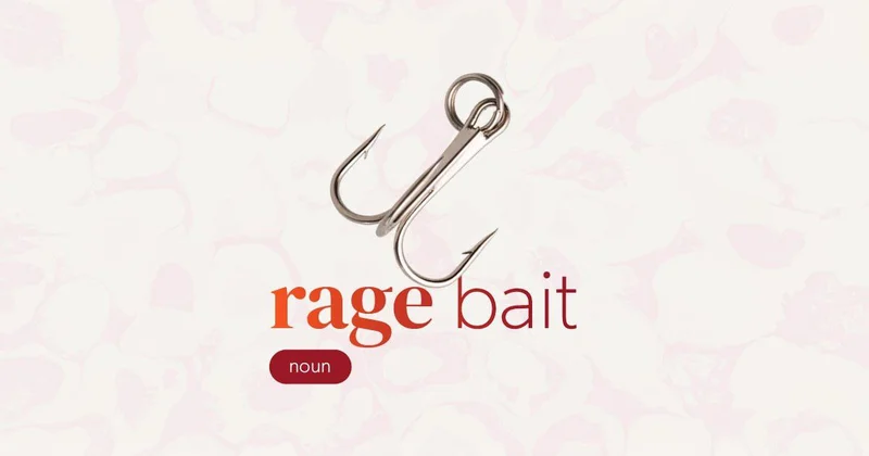 Гнев как тренд: rage bait стало словом 2025 года Minval Politika