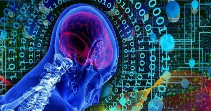 İnsanın beyin toxumaları ilə işləyən kompüterlər hazırlanır