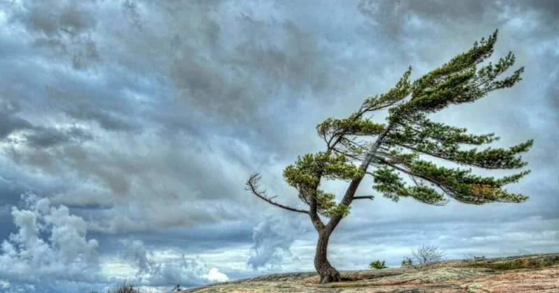 Küləkli hava ilə əlaqədar əhaliyə çağırış