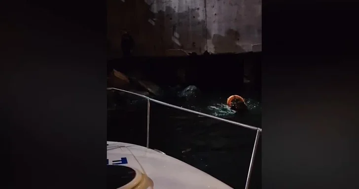 На бакинском бульваре спасли тонущего мужчину