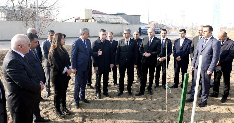 Naxçıvanda yeni tingçilik sahələri və kolleksiya meyvə bağı yaradılıb FOTO