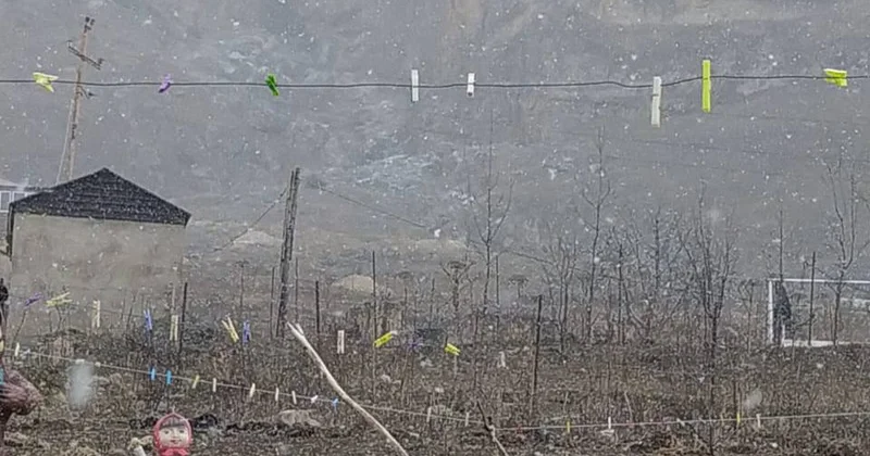 Şimal bölgəsinə yenə qar yağır VİDEO